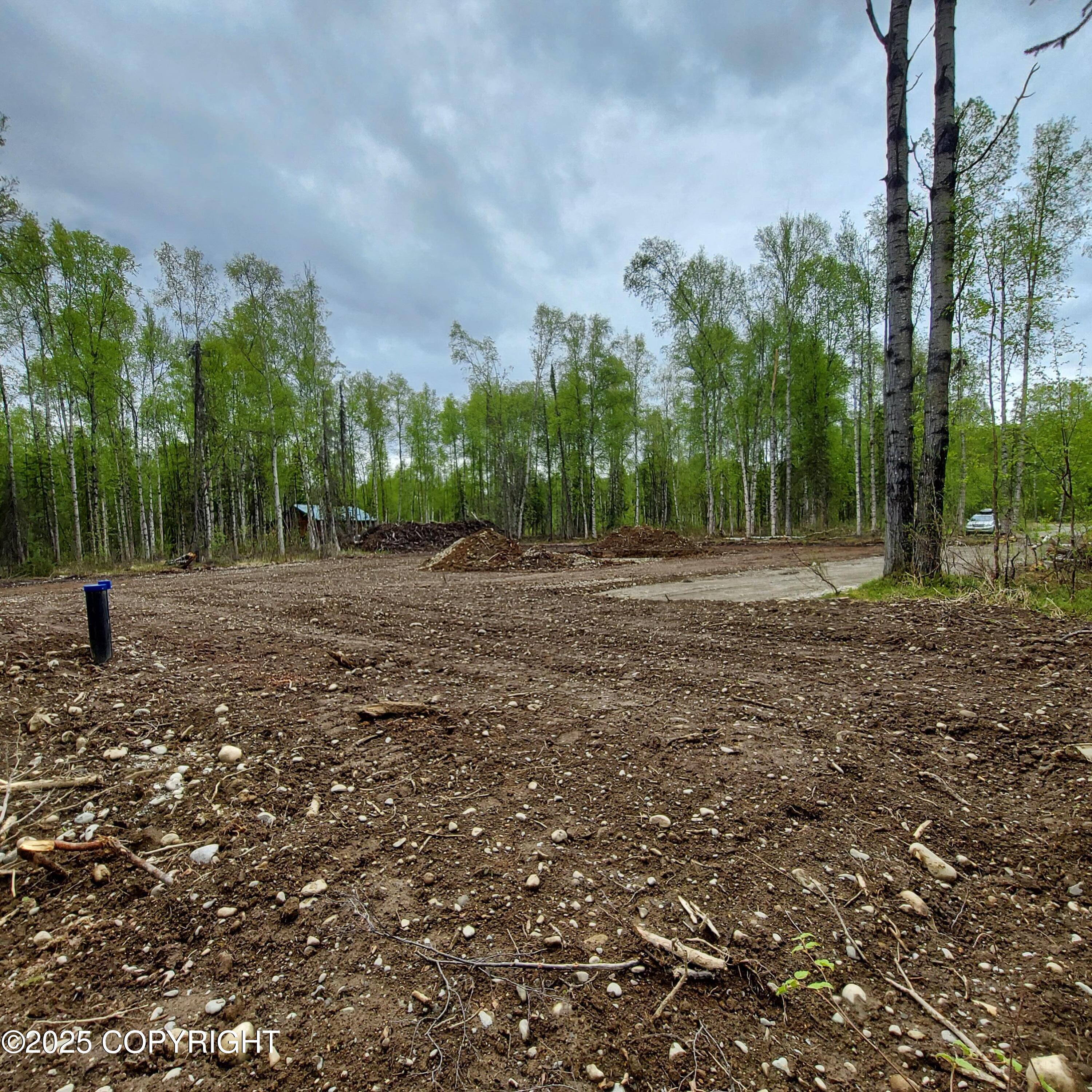 36534 S Long Branch Street, Talkeetna, Alaska image 8