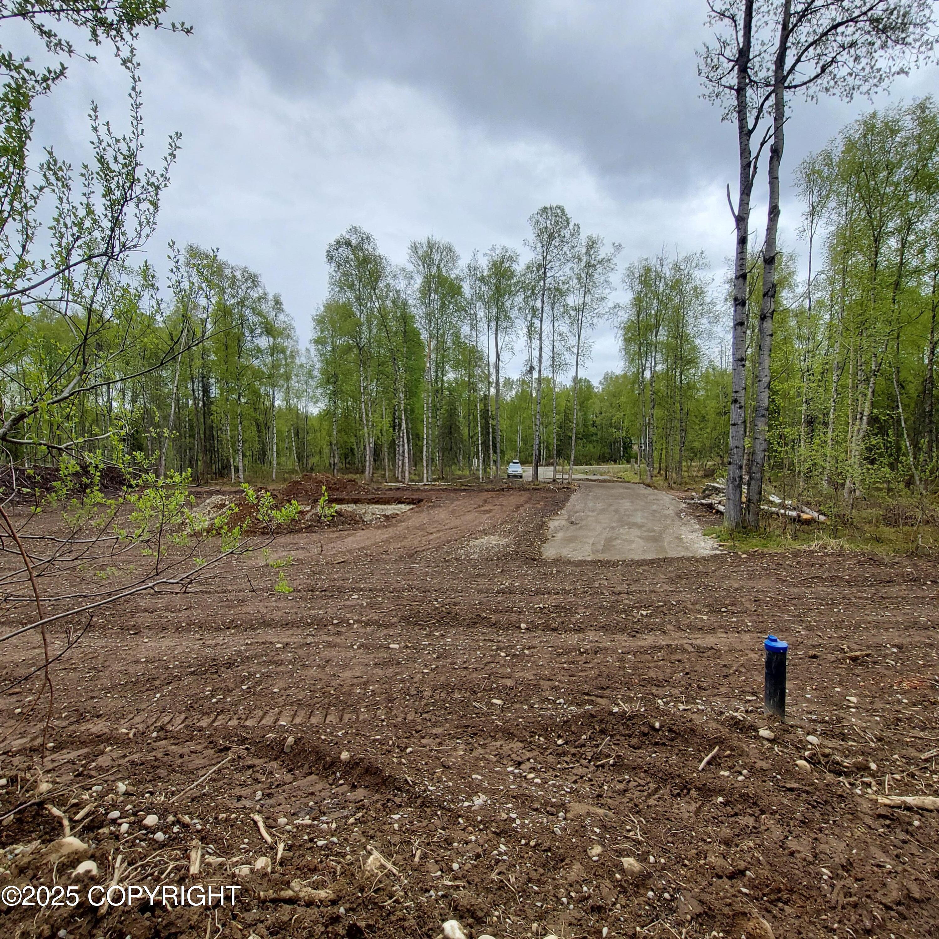 36534 S Long Branch Street, Talkeetna, Alaska image 9
