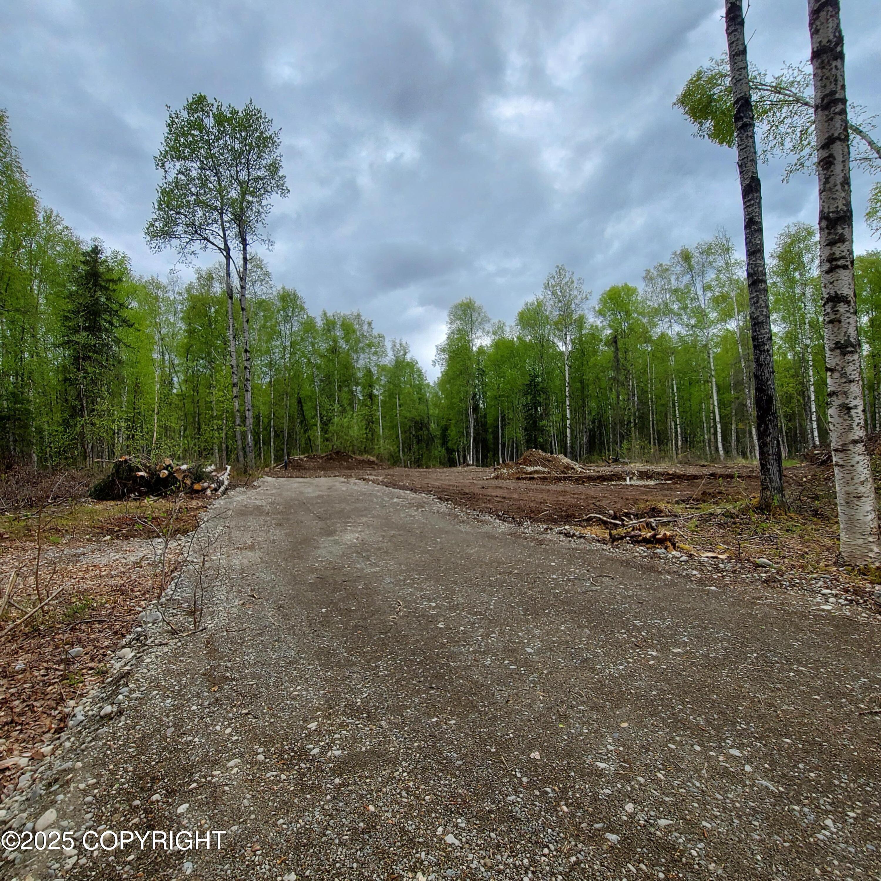 36534 S Long Branch Street, Talkeetna, Alaska image 7