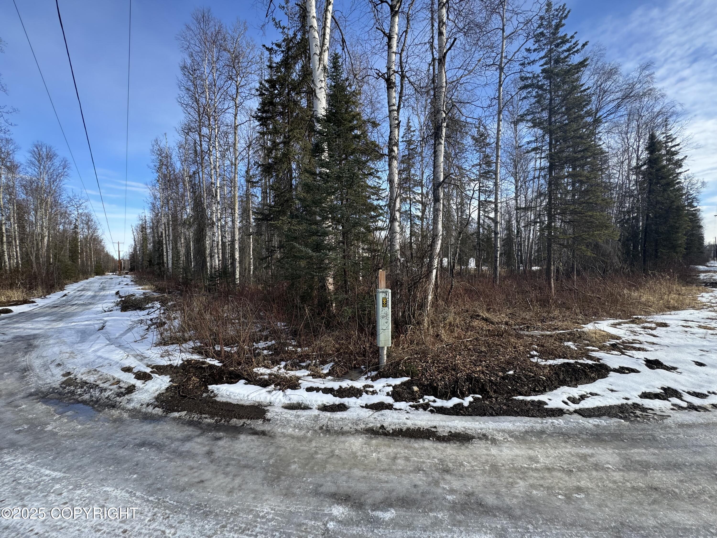 10191 Herkimer Drive, Wasilla, Texas image 3