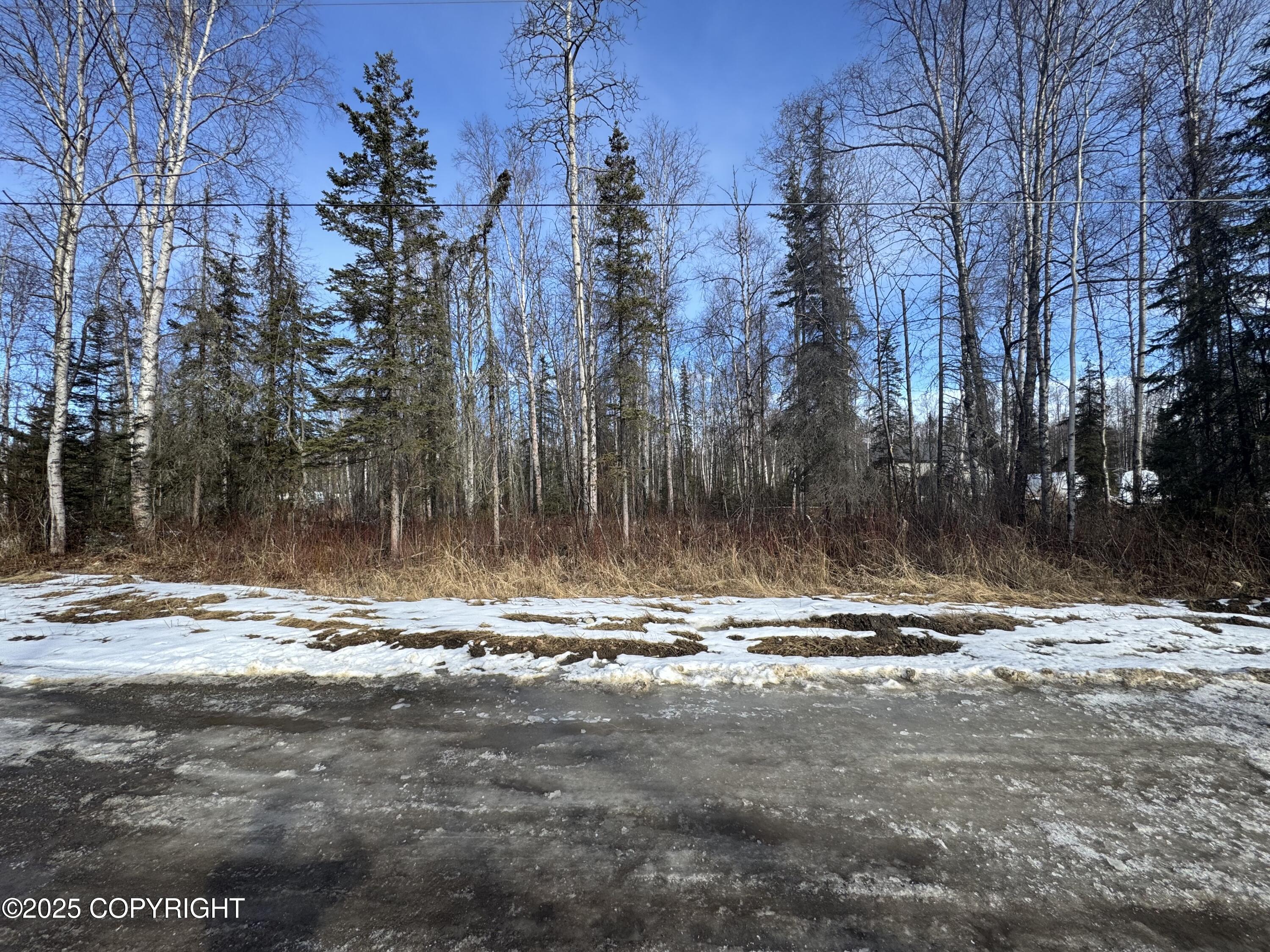 10191 Herkimer Drive, Wasilla, Texas image 2