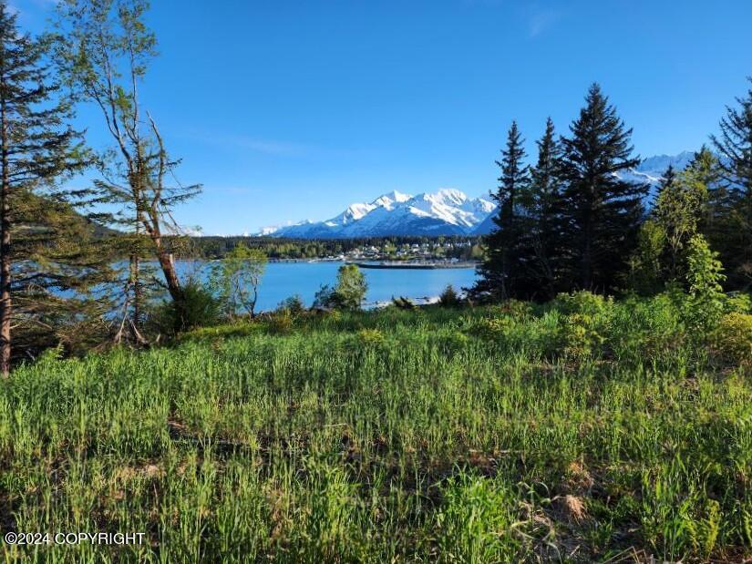 Lot 7 E Barnett Drive, Haines, Alaska image 2