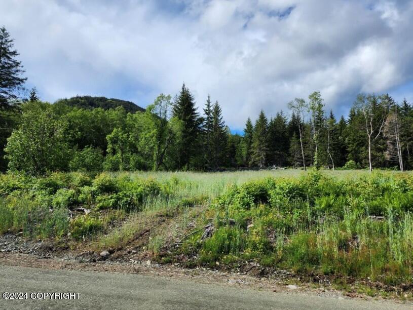 Lot 7 E Barnett Drive, Haines, Alaska image 6