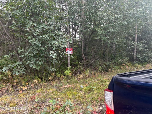 9168 W JOHN ST, WASILLA, AK 99623 - Image f1d0fc20ce06b48d441dd9df7b8a19f0/1992833057