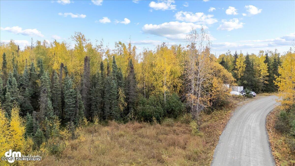 12673 S Ella Louise Circle, Wasilla, Alaska image 7