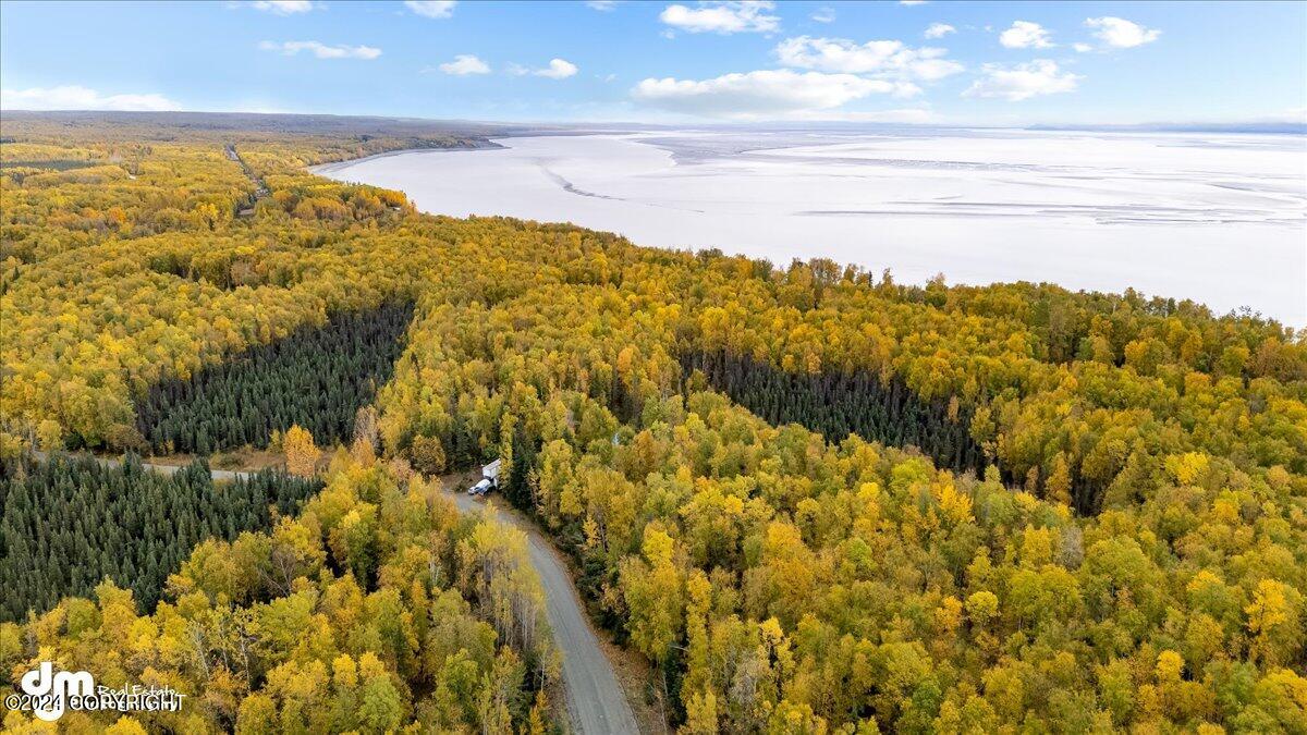 12673 S Ella Louise Circle, Wasilla, Alaska image 4