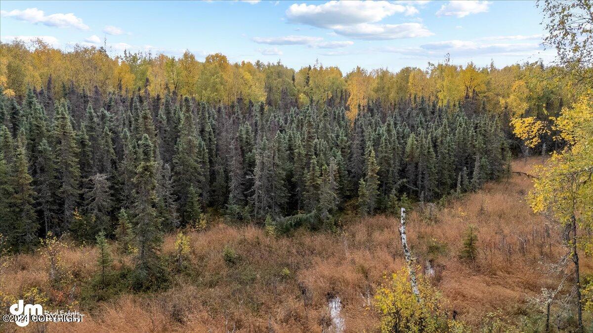 12673 S Ella Louise Circle, Wasilla, Alaska image 5