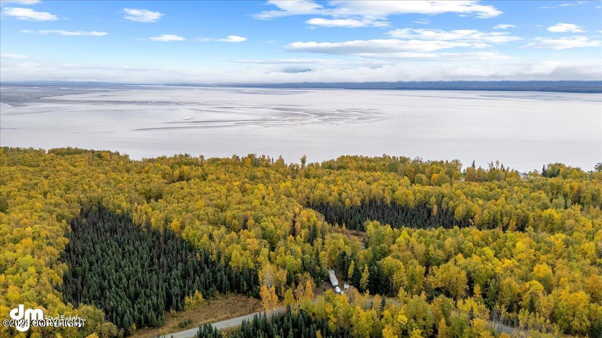 12673 S Ella Louise Circle, Wasilla, Alaska image 9