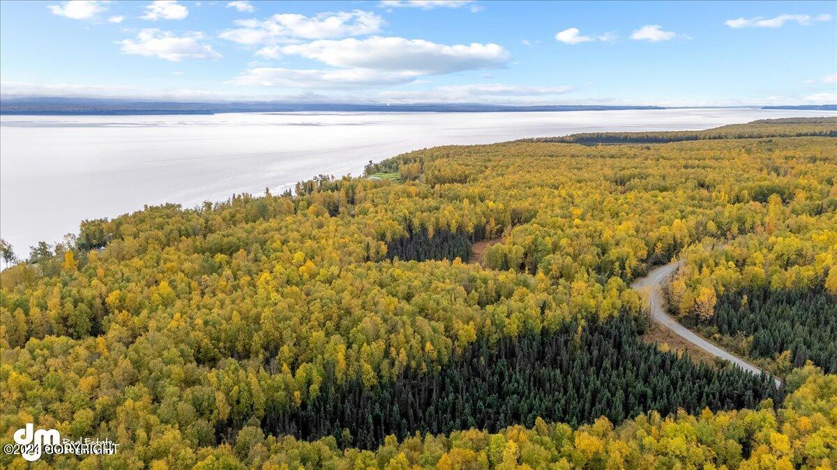 12673 S Ella Louise Circle, Wasilla, Alaska image 11
