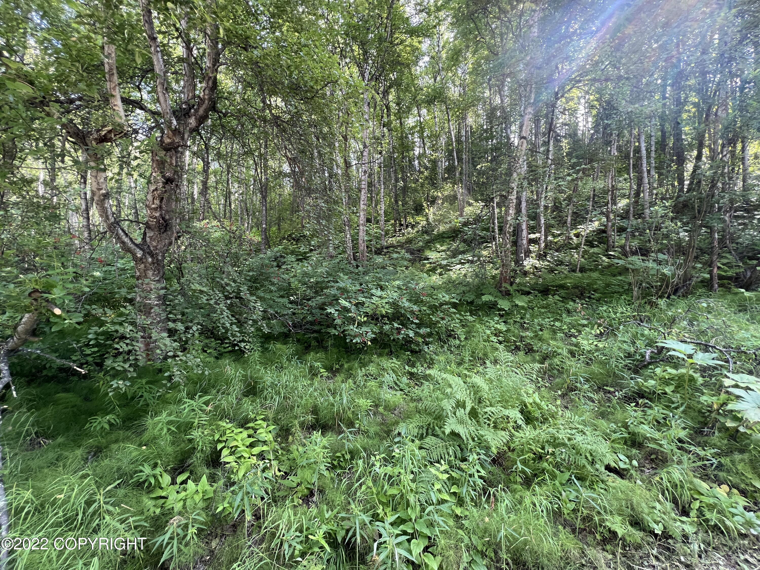 L1 B2 Scimitar Subdivision #1, Chugiak, Alaska image 8