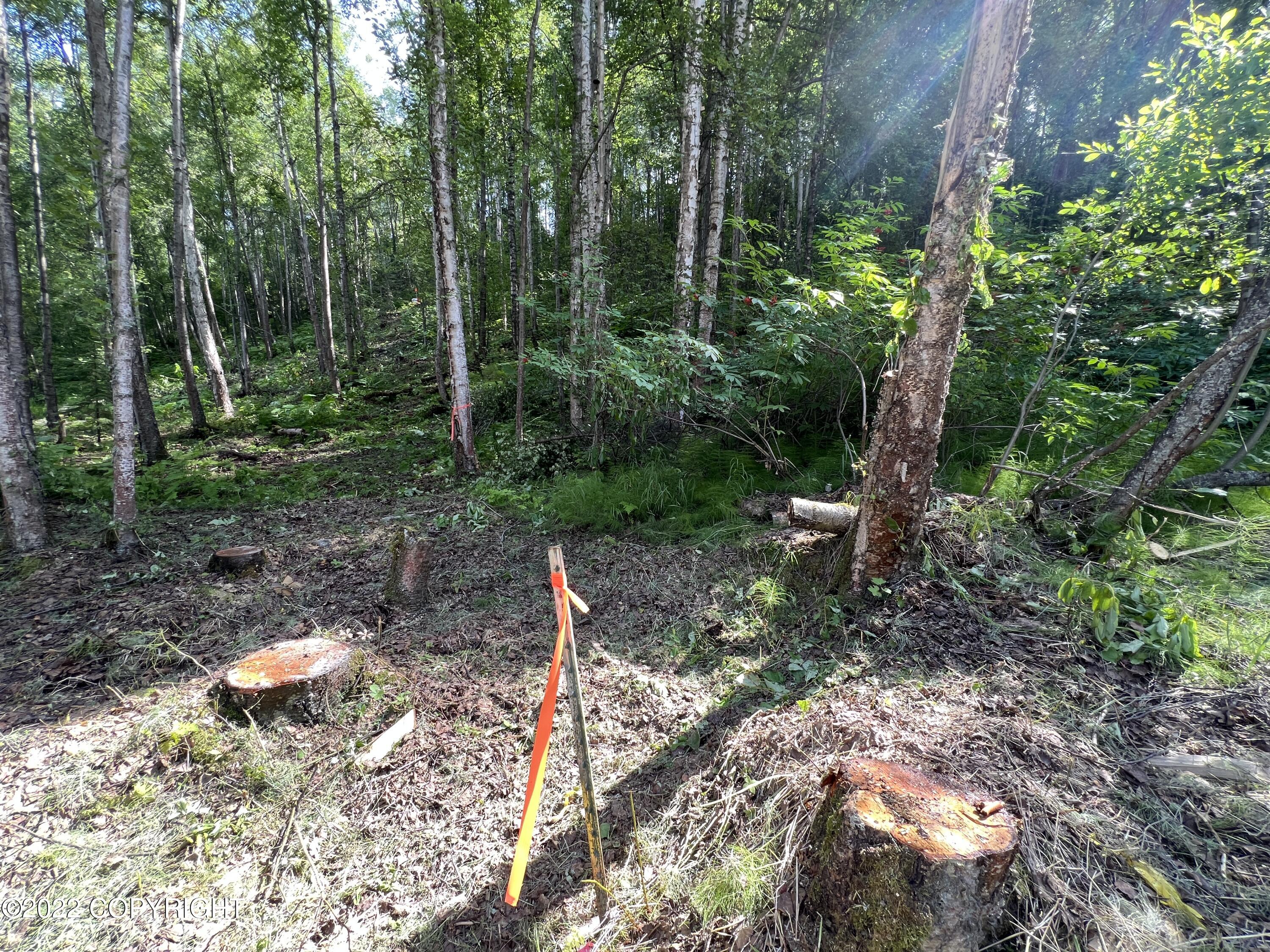 L1 B2 Scimitar Subdivision #1, Chugiak, Alaska image 14