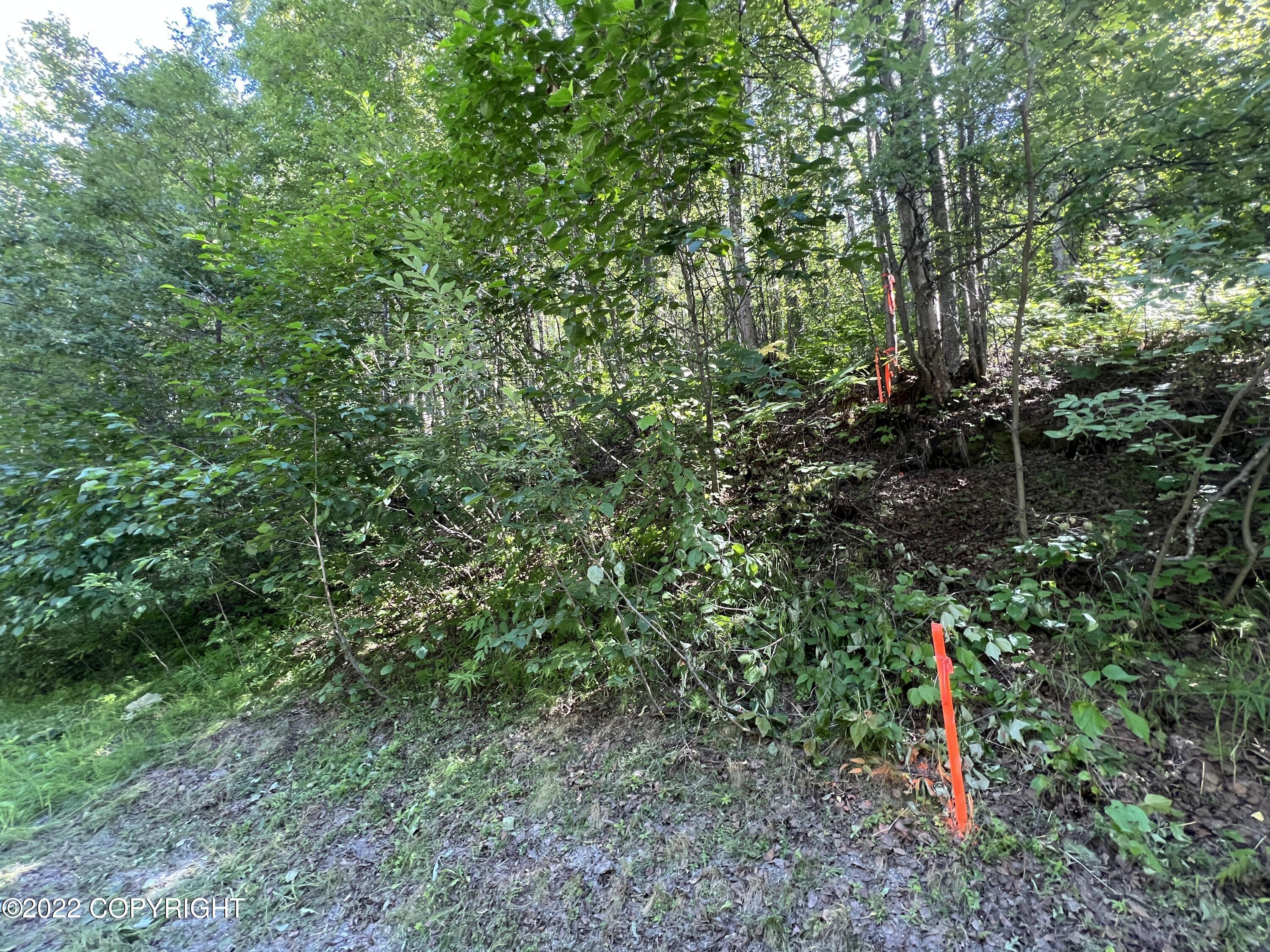 L1 B2 Scimitar Subdivision #1, Chugiak, Alaska image 17