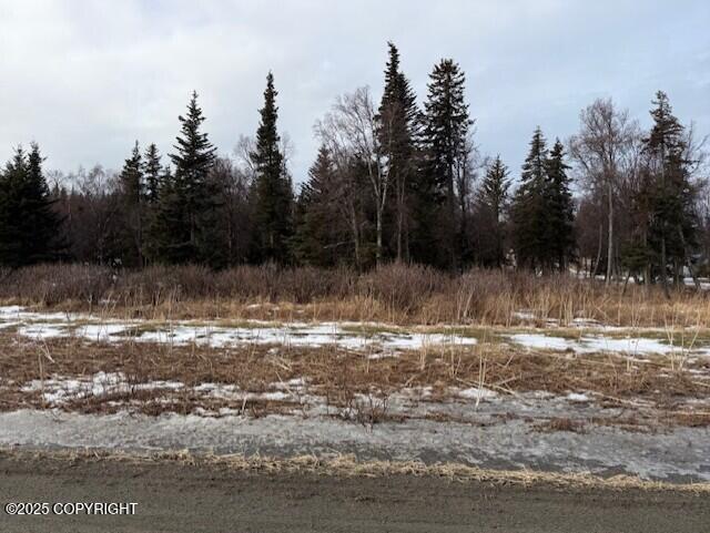 Ninilchik, Alaska 99639, United States, ,Land,Active,80219