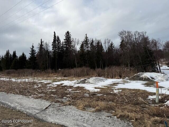 Ninilchik, Alaska 99639, United States, ,Land,Active,80219