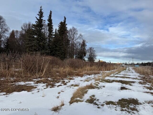 Ninilchik, Alaska 99639, United States, ,Land,Active,80219