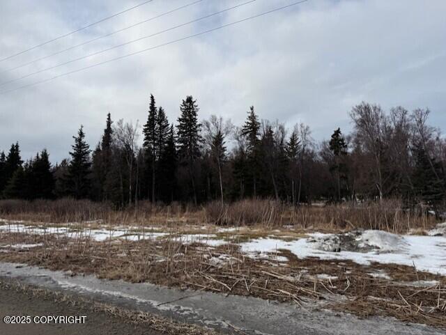 Ninilchik, Alaska 99639, United States, ,Land,Active,80219