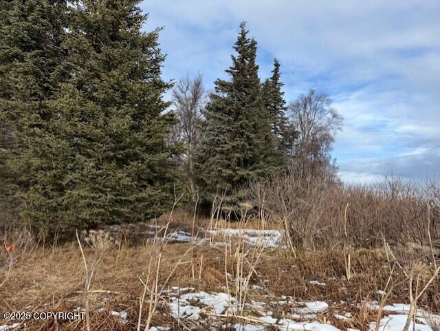 Ninilchik, Alaska 99639, United States, ,Land,Active,80219