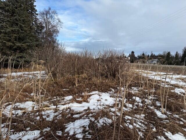 Ninilchik, Alaska 99639, United States, ,Land,Active,80219