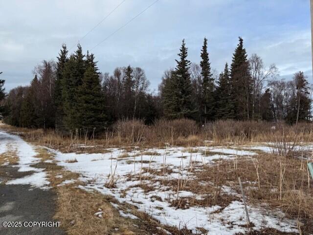 Ninilchik, Alaska 99639, United States, ,Land,Active,80219