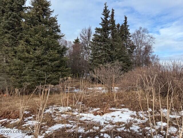 Ninilchik, Alaska 99639, United States, ,Land,Active,80219