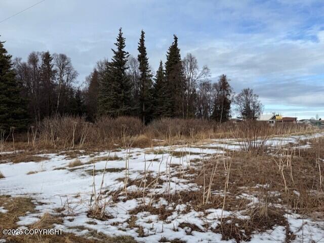 Ninilchik, Alaska 99639, United States, ,Land,Active,80219