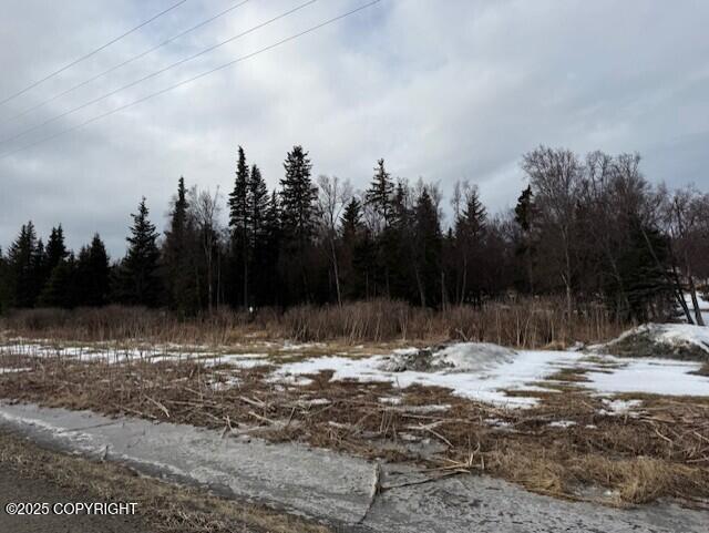 Ninilchik, Alaska 99639, United States, ,Land,Active,80219