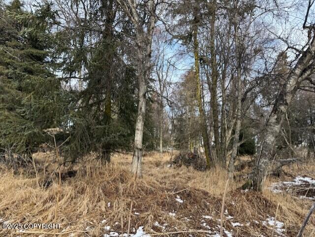 Ninilchik, Alaska 99639, United States, ,Land,Active,80219