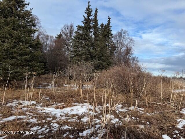 Ninilchik, Alaska 99639, United States, ,Land,Active,80219