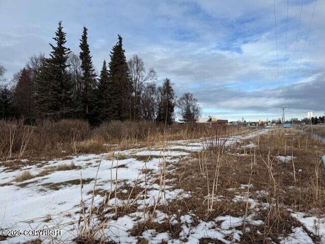 Ninilchik, Alaska 99639, United States, ,Land,Active,80219