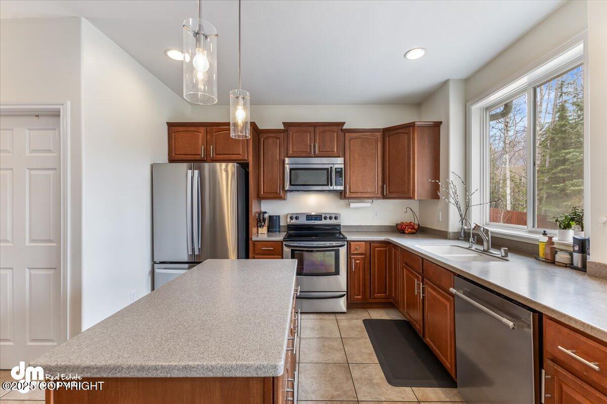 23254 Whispering Birch Drive, Chugiak, Alaska image 19