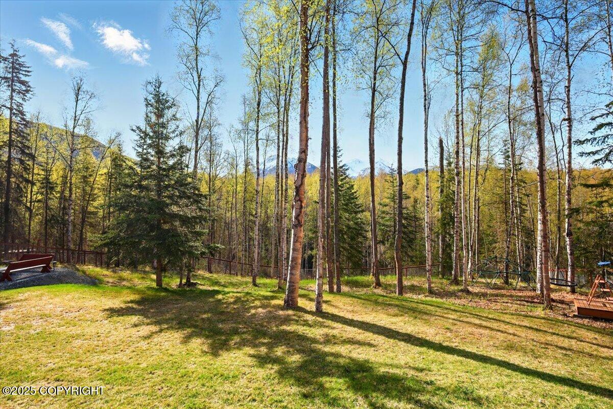 23254 Whispering Birch Drive, Chugiak, Alaska image 28