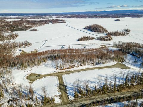 Photo of 20201 W Kvichak Circle, Big Lake, AK 99652 (MLS # 26-3800)