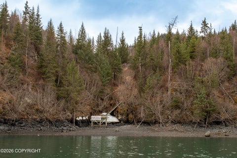 Vacant Land For Sale - 000 Bear Cove<br/> Homer, AK 99603