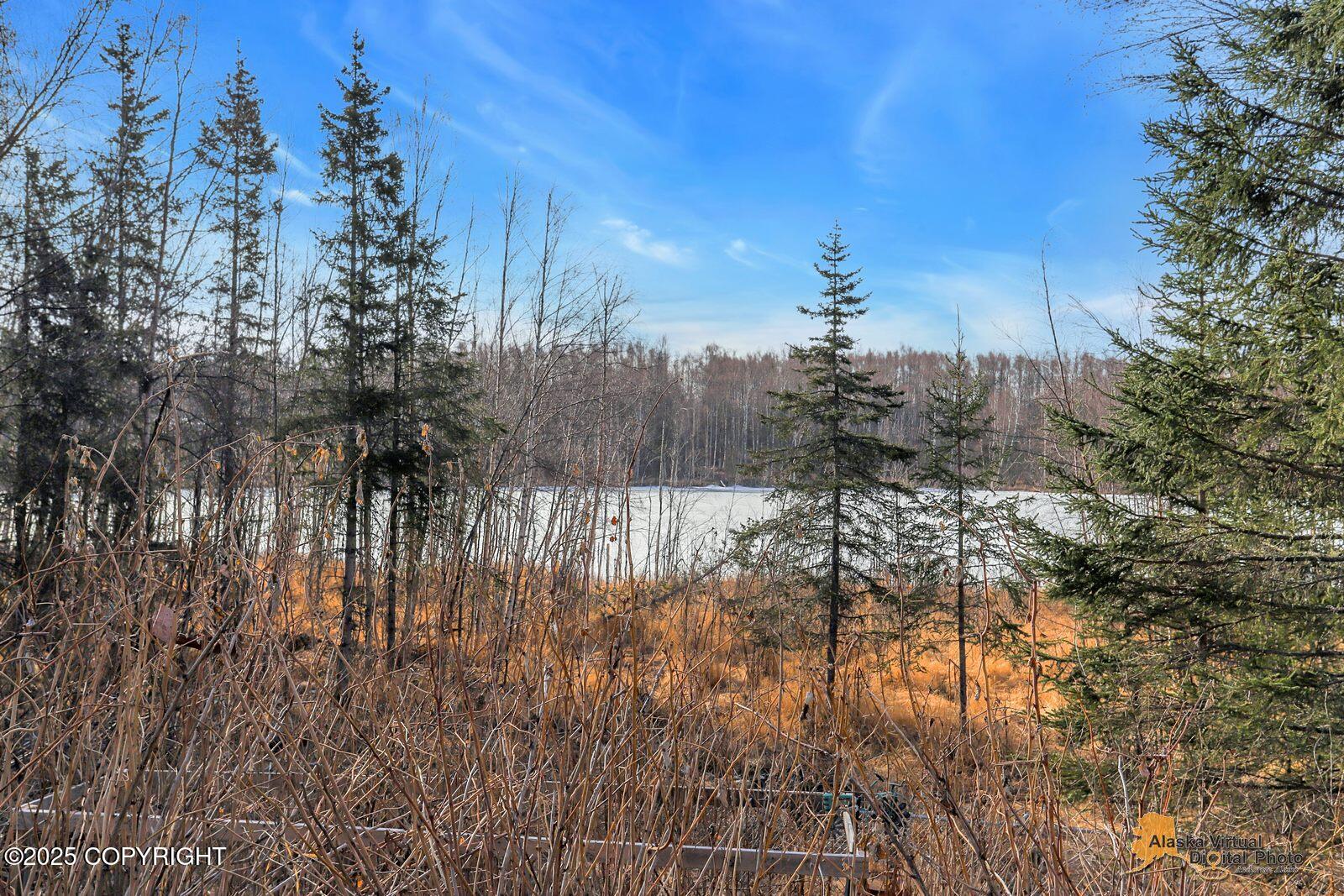 1230 W Gail Drive, Wasilla, Texas image 41