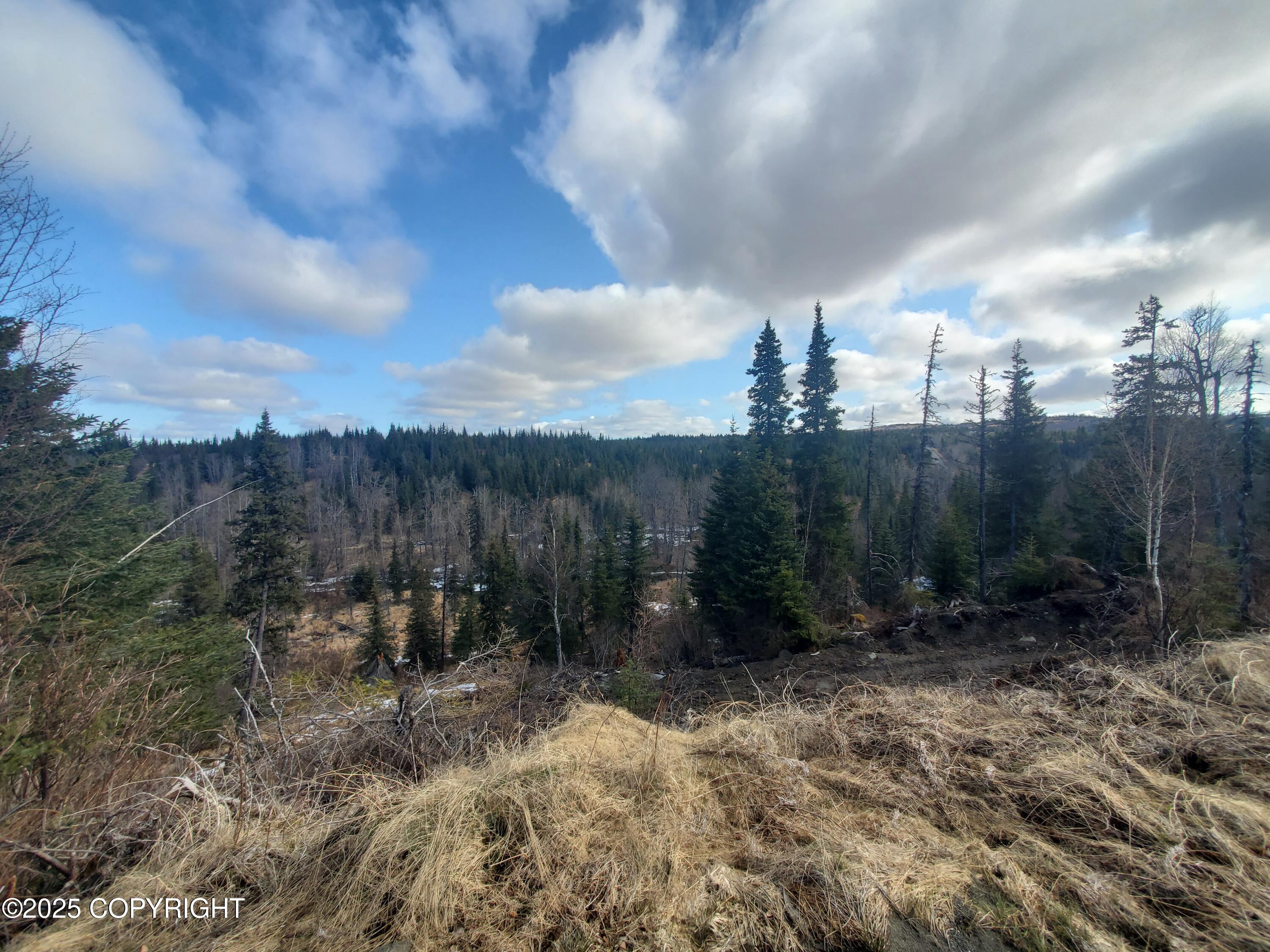 35232 North Fork Road, Anchor Point, Alaska image 5