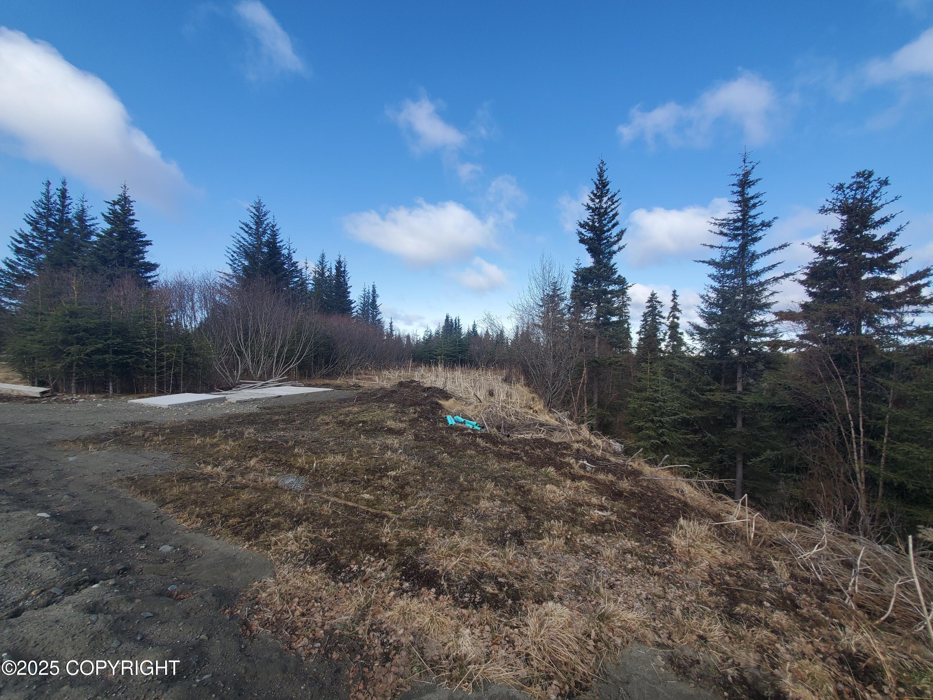 35232 North Fork Road, Anchor Point, Alaska image 6