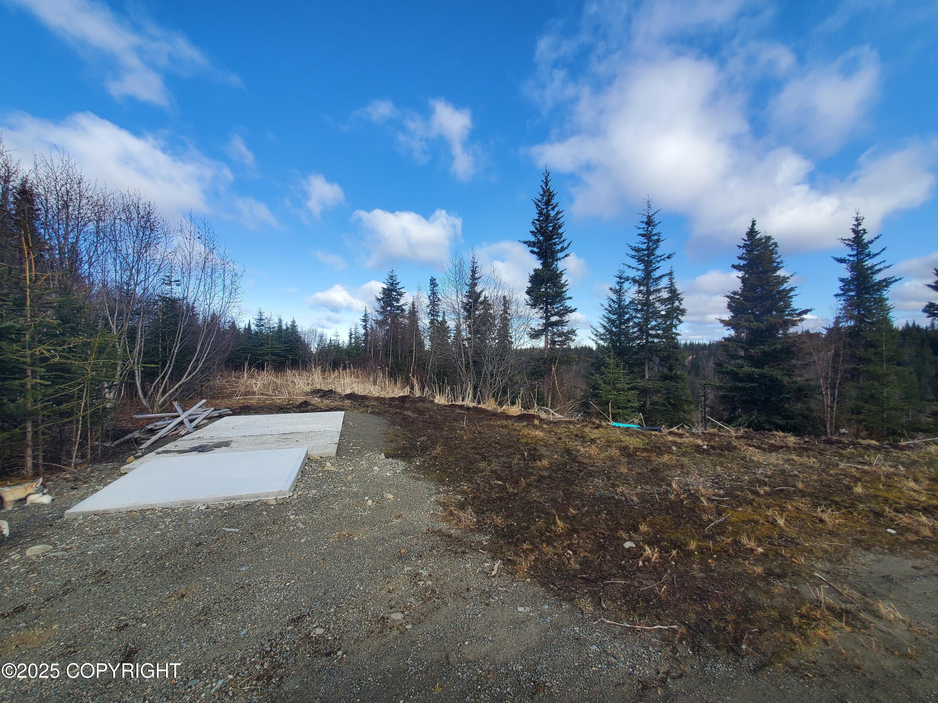 35232 North Fork Road, Anchor Point, Alaska image 8
