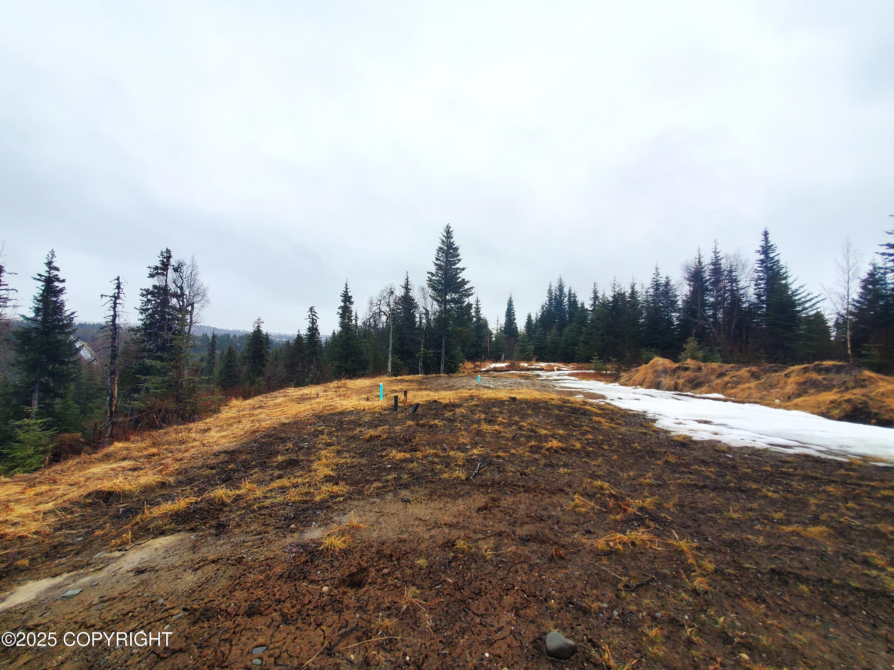 35232 North Fork Road, Anchor Point, Alaska image 10