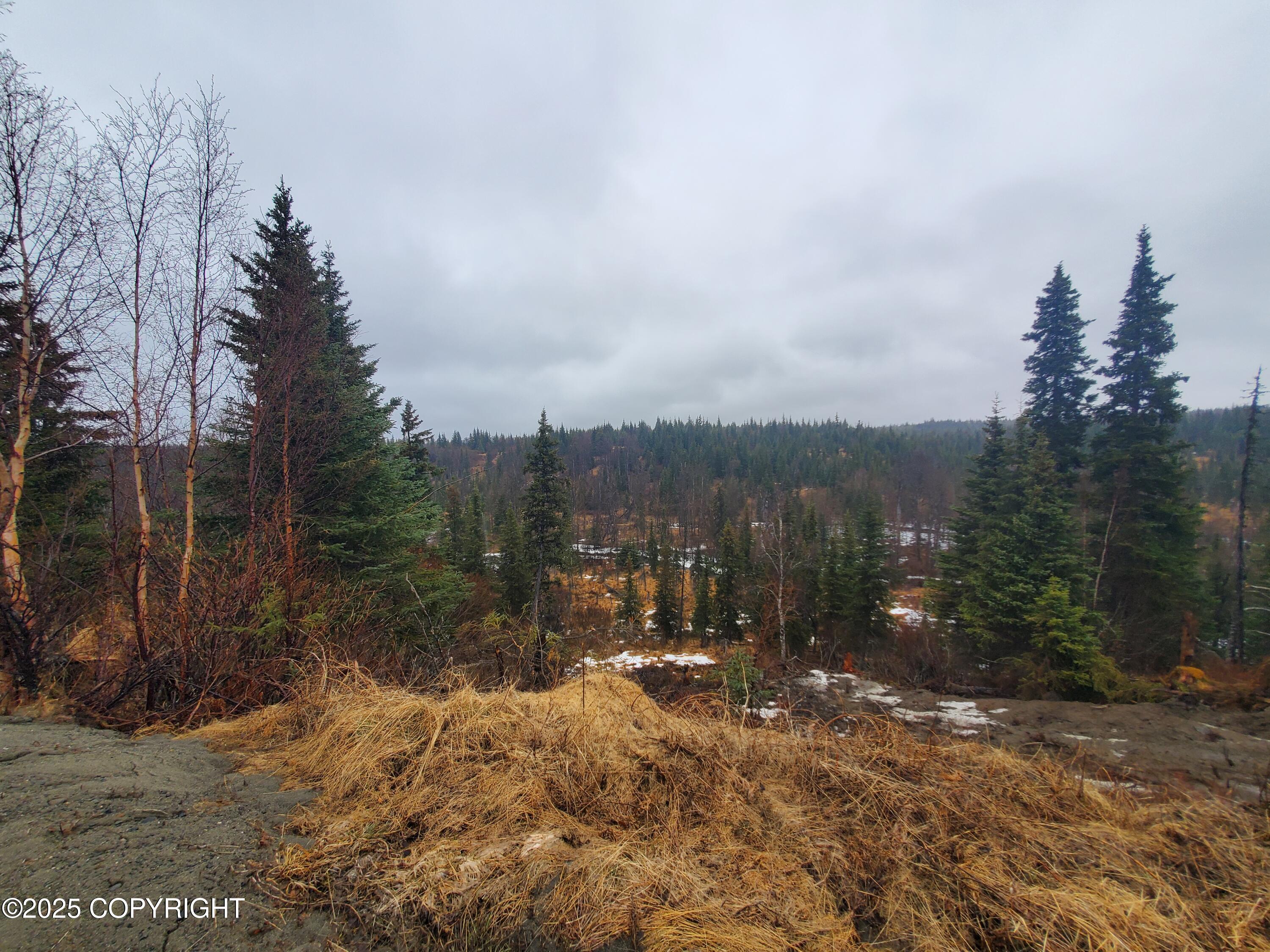 35232 North Fork Road, Anchor Point, Alaska image 11