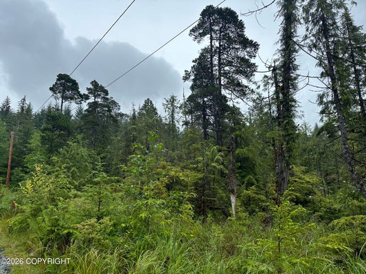 12 MILE ZIMOVIA HWY, WRANGELL, AK 99929 - Image f36d3b1768e39dc63d2d772648fa5b21/4180698743