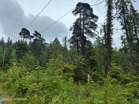 Photo of 12.5 Mile Zimovia Highway, Wrangell, AK 99929 (MLS # 26-5768)