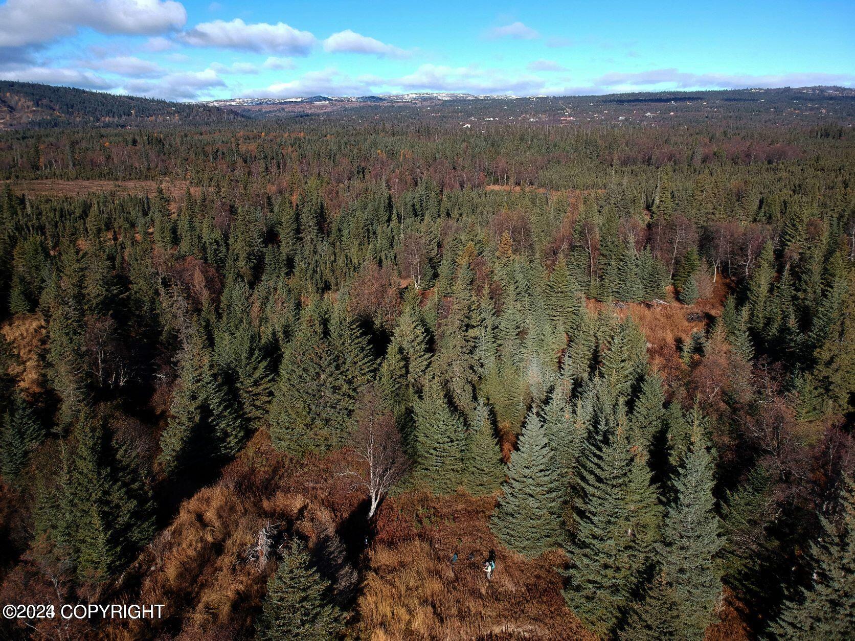 Homer, Alaska 99603, United States, ,Land,Active,54774