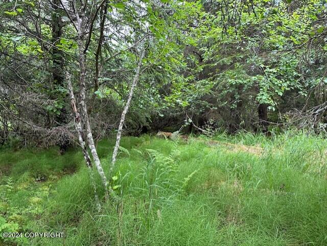 Homer, Alaska 99603, United States, ,Land,Active,54774