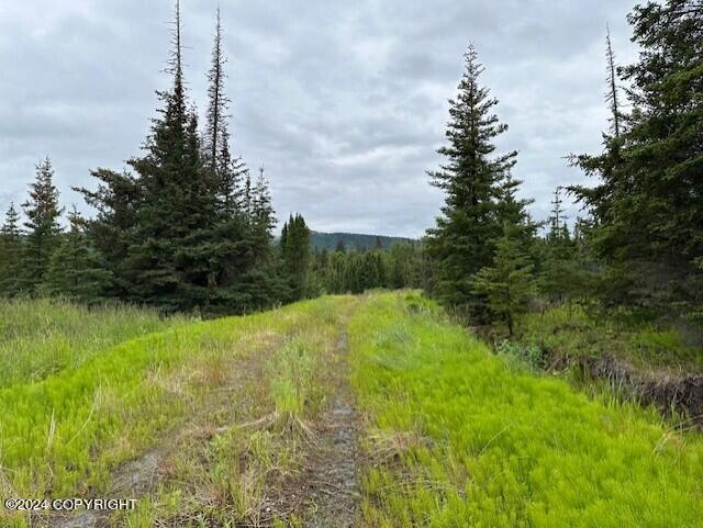 Homer, Alaska 99603, United States, ,Land,Active,54774