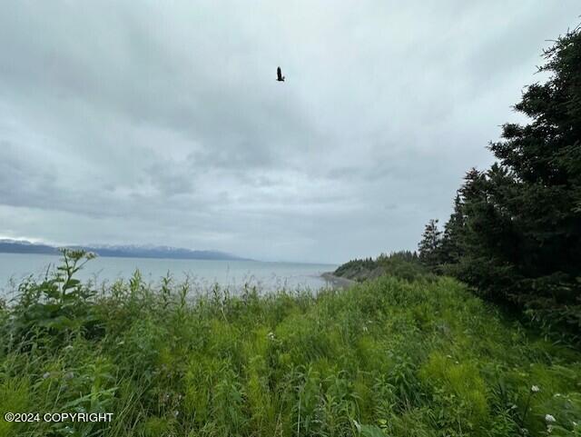 Homer, Alaska 99603, United States, ,Land,Active,54774