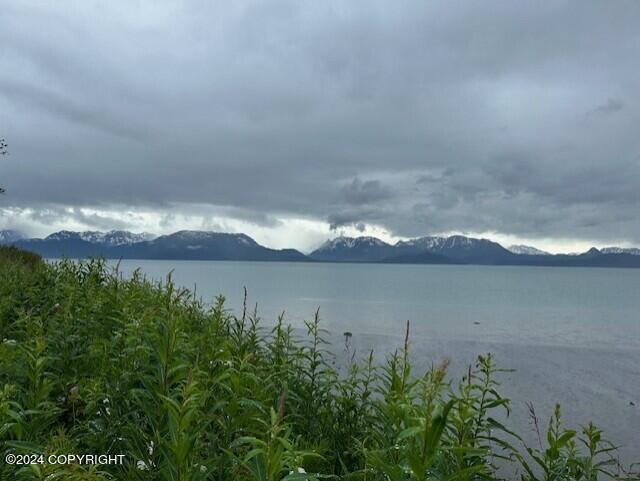 Homer, Alaska 99603, United States, ,Land,Active,54774
