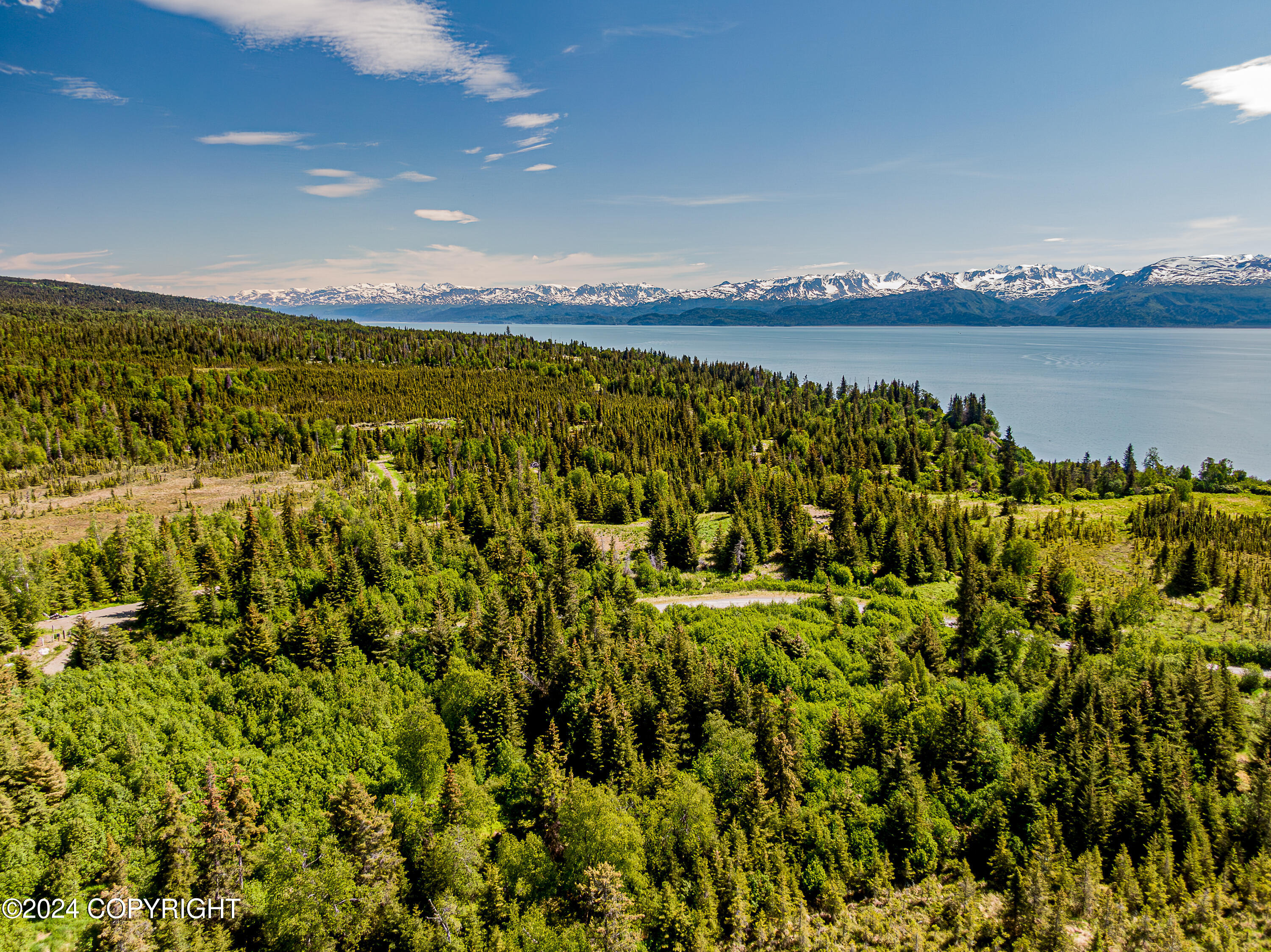 Homer, Alaska 99603, United States, ,Land,Active,54774