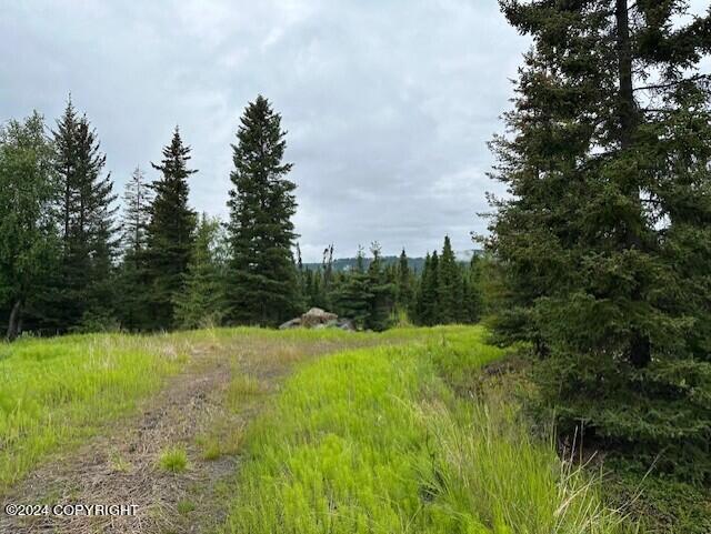 Homer, Alaska 99603, United States, ,Land,Active,54774