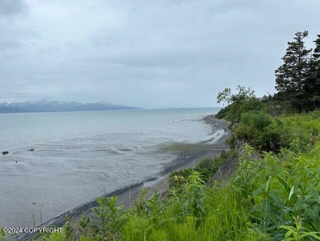 Homer, Alaska 99603, United States, ,Land,Active,54774