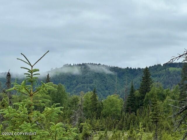 Homer, Alaska 99603, United States, ,Land,Active,54774